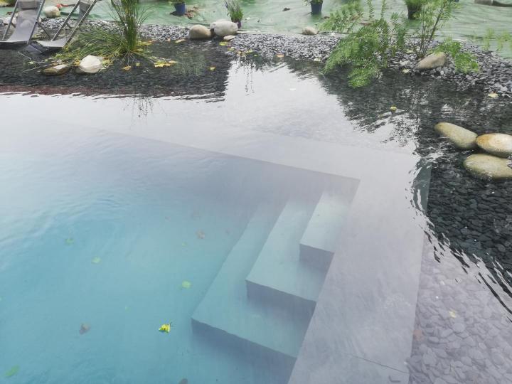 Construction piscine Bassens